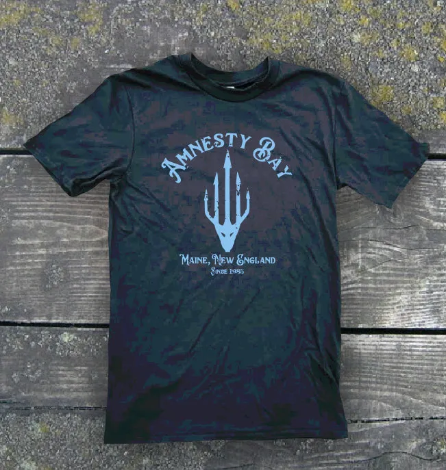 Aquaman T-Shirt - Amnesty Bay | Stealthy Giant