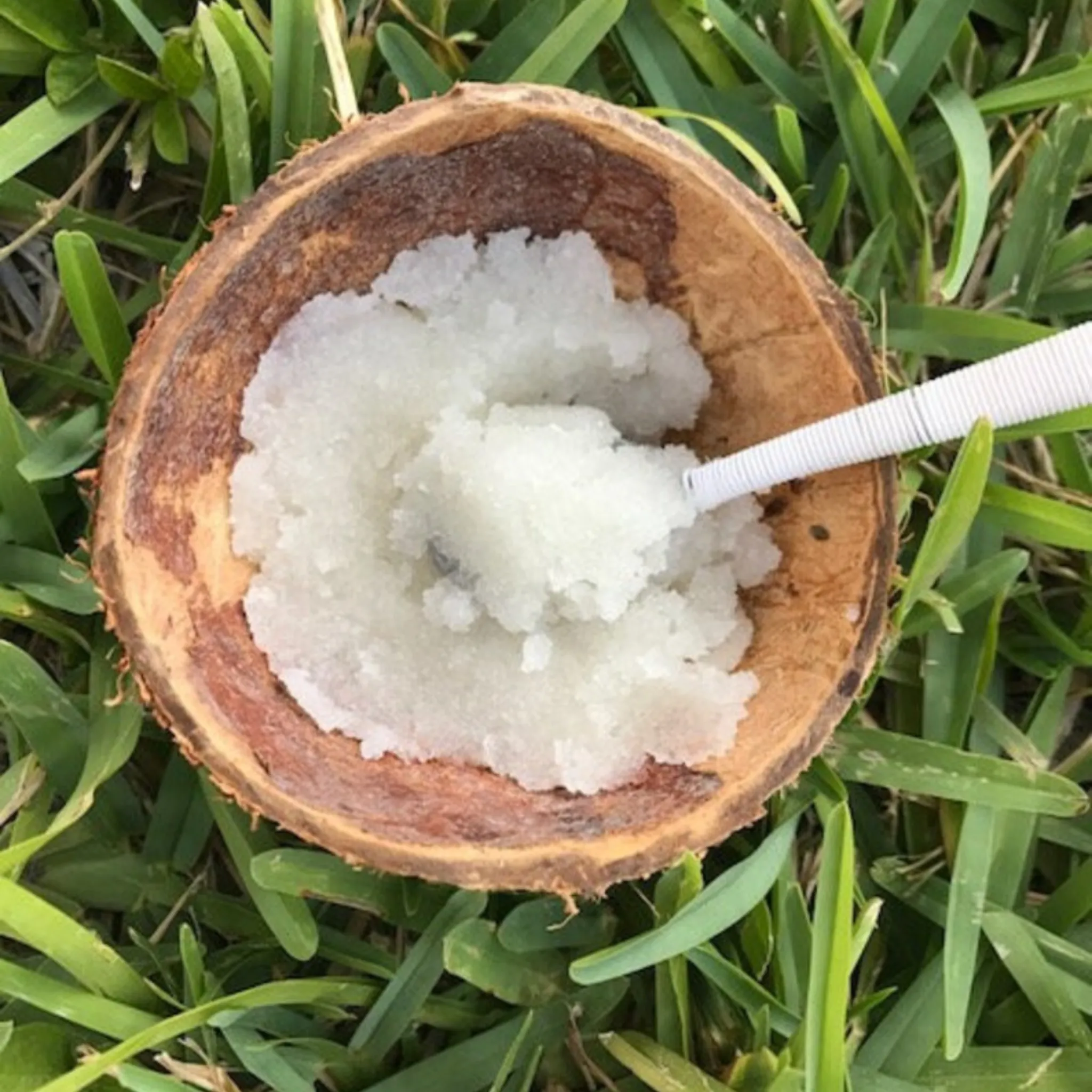 Coconut Salt Scrub