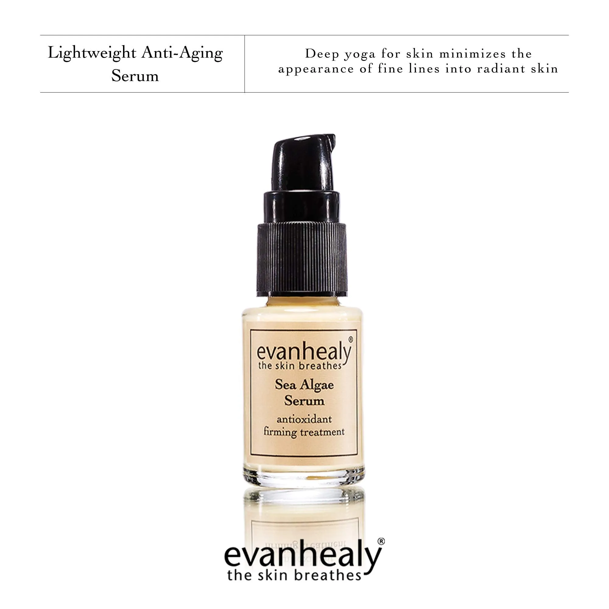 evanhealy Sea Algae Anti Wrinkle Serum for Sensitive Skin | Lightweight Firming Face Serum Anti Aging | Facial Serum with Hyaluronic Acid & Botanical Extracts