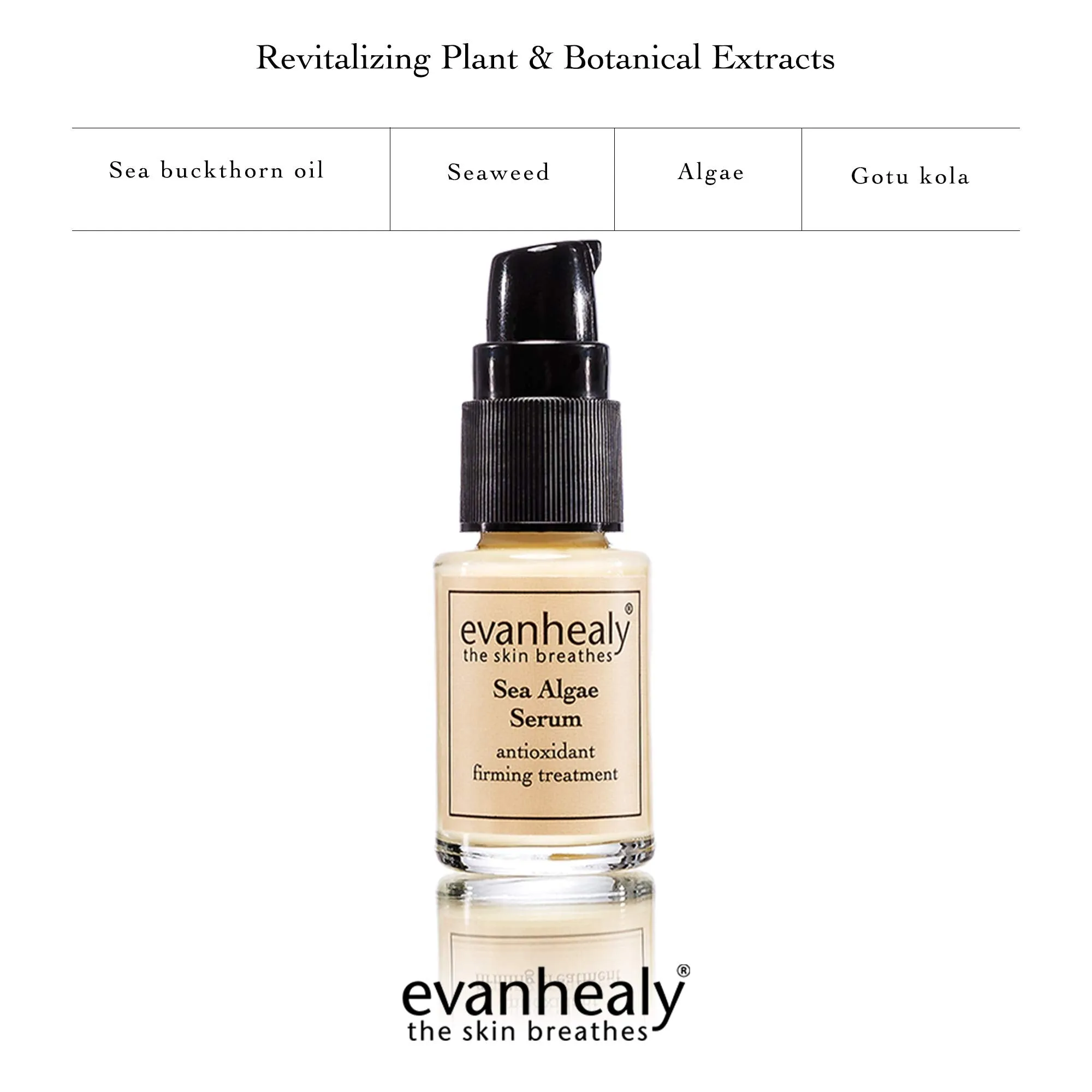 evanhealy Sea Algae Anti Wrinkle Serum for Sensitive Skin | Lightweight Firming Face Serum Anti Aging | Facial Serum with Hyaluronic Acid & Botanical Extracts