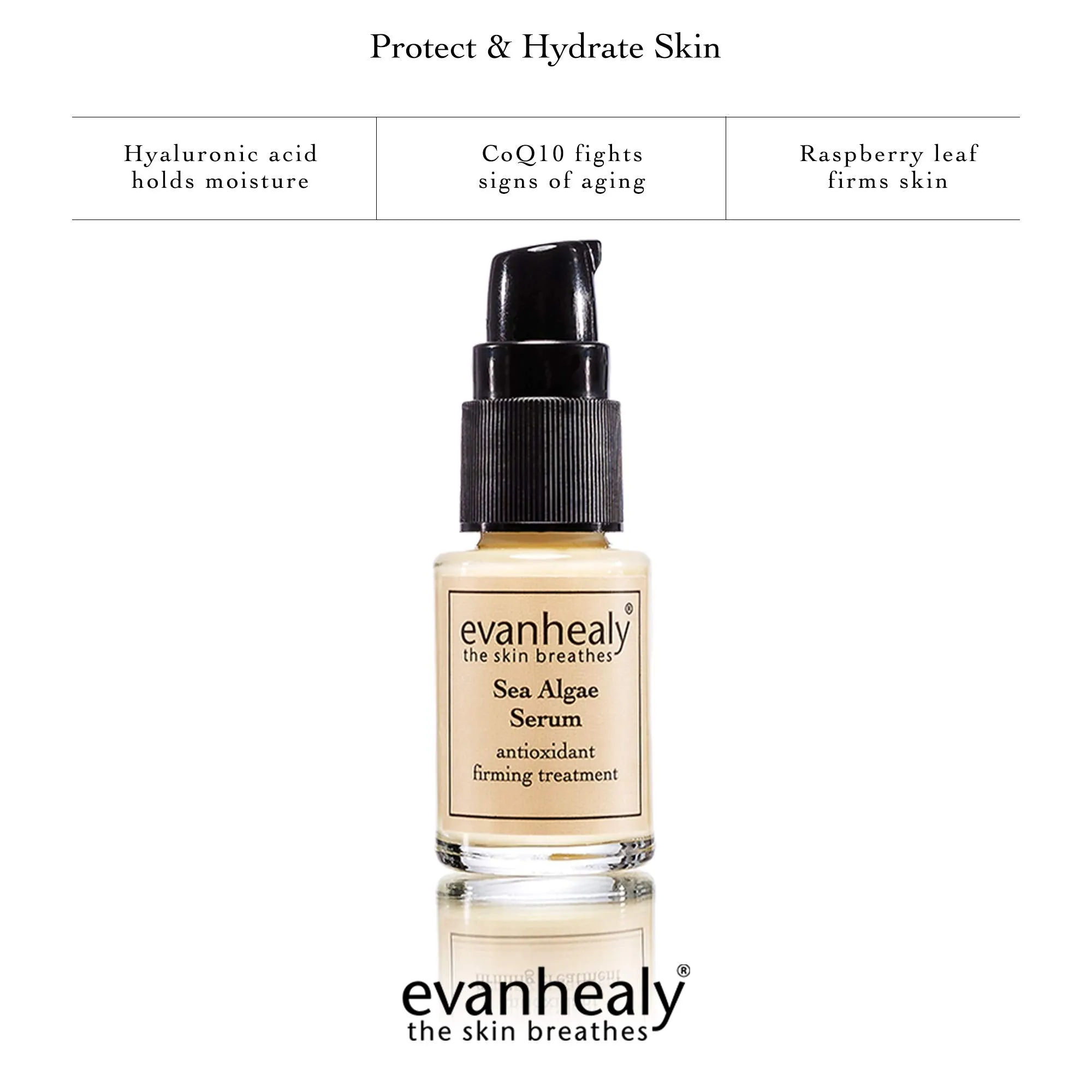 evanhealy Sea Algae Anti Wrinkle Serum for Sensitive Skin | Lightweight Firming Face Serum Anti Aging | Facial Serum with Hyaluronic Acid & Botanical Extracts