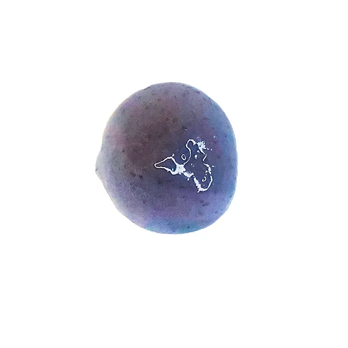 Lavender Aphrodisia Body Scrub