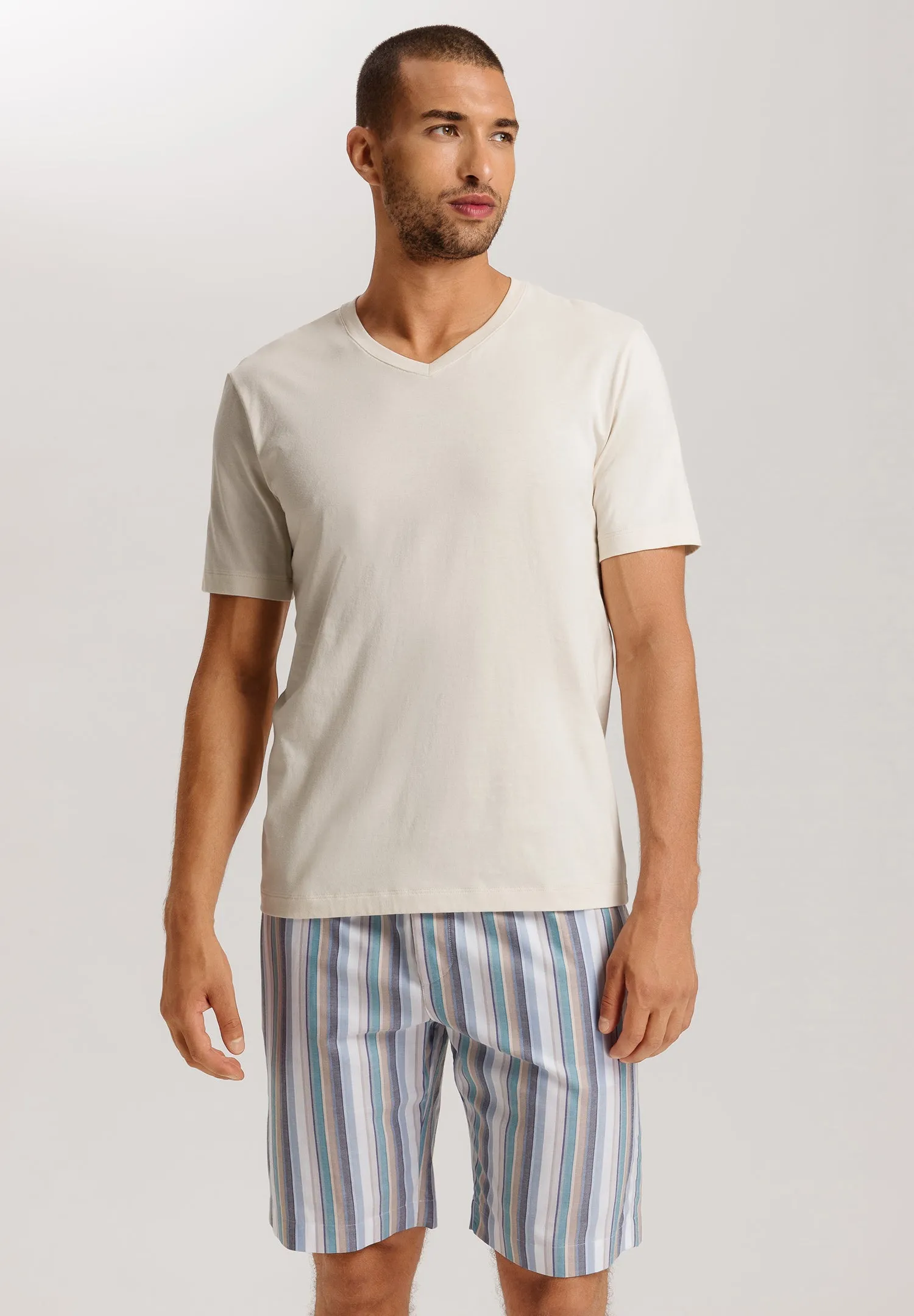 Living Shirts Cotton V-Neck T-Shirt | Warm Sand 75051-1200