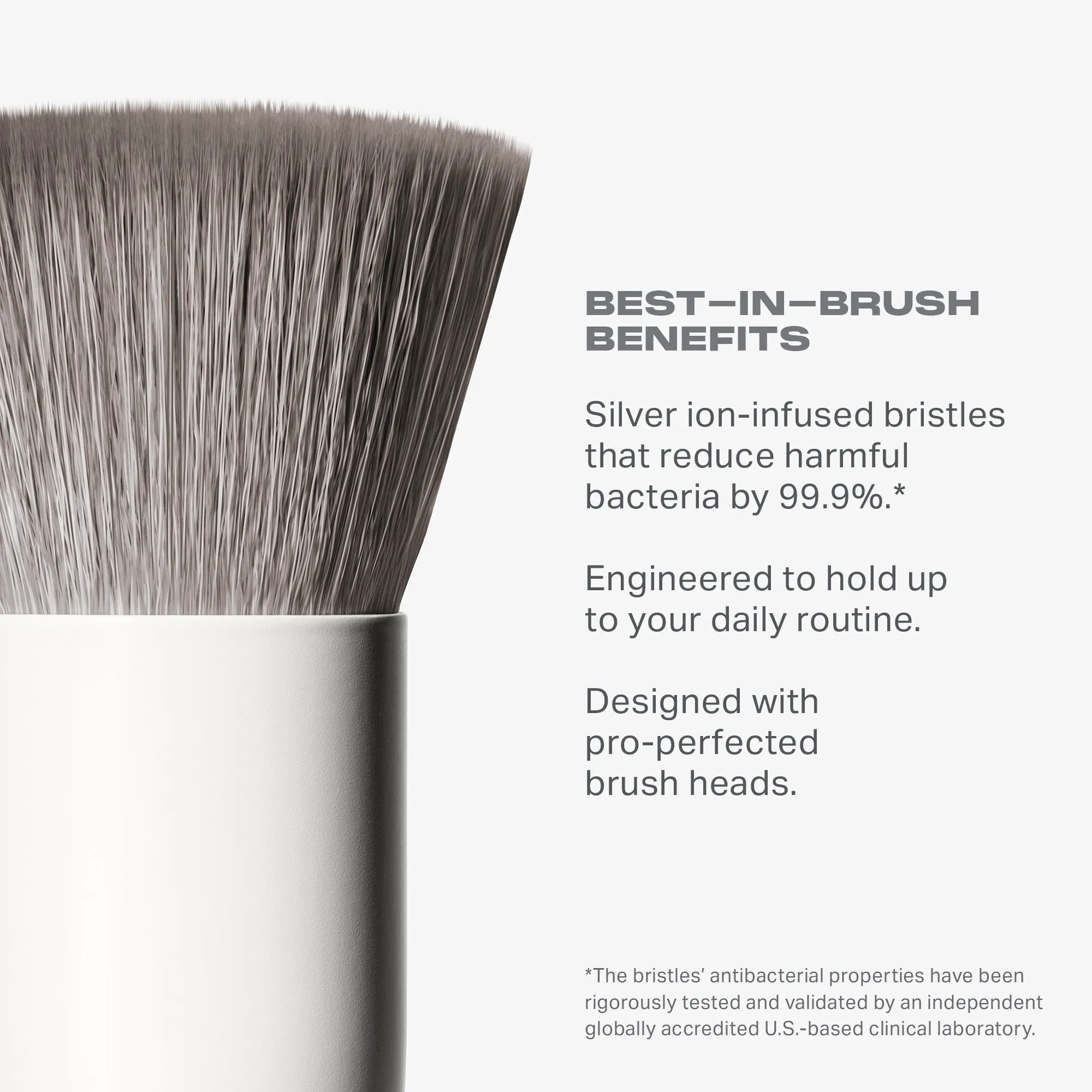 M104 Domed Foundation Brush