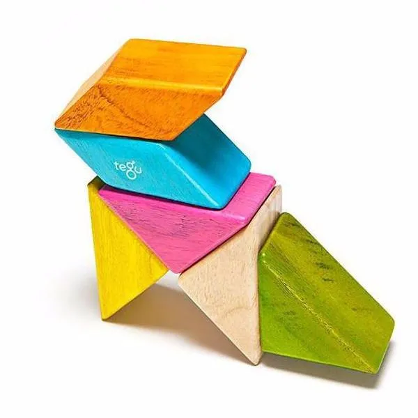 Magnetic Block Set 6 Pc Prism Pocket Pouch - Tints by Tegu