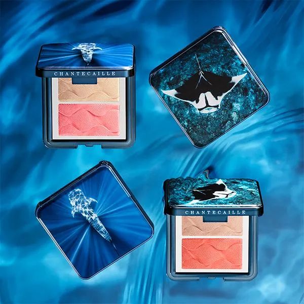 Radiance Chic Cheek and Highlighter Duo