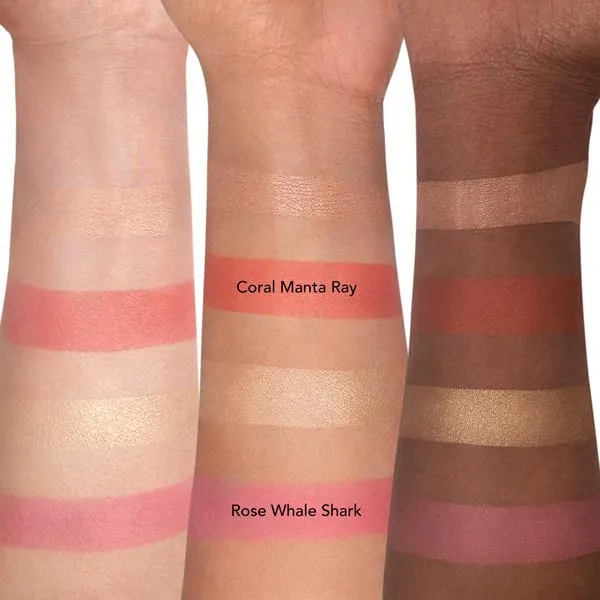 Radiance Chic Cheek and Highlighter Duo