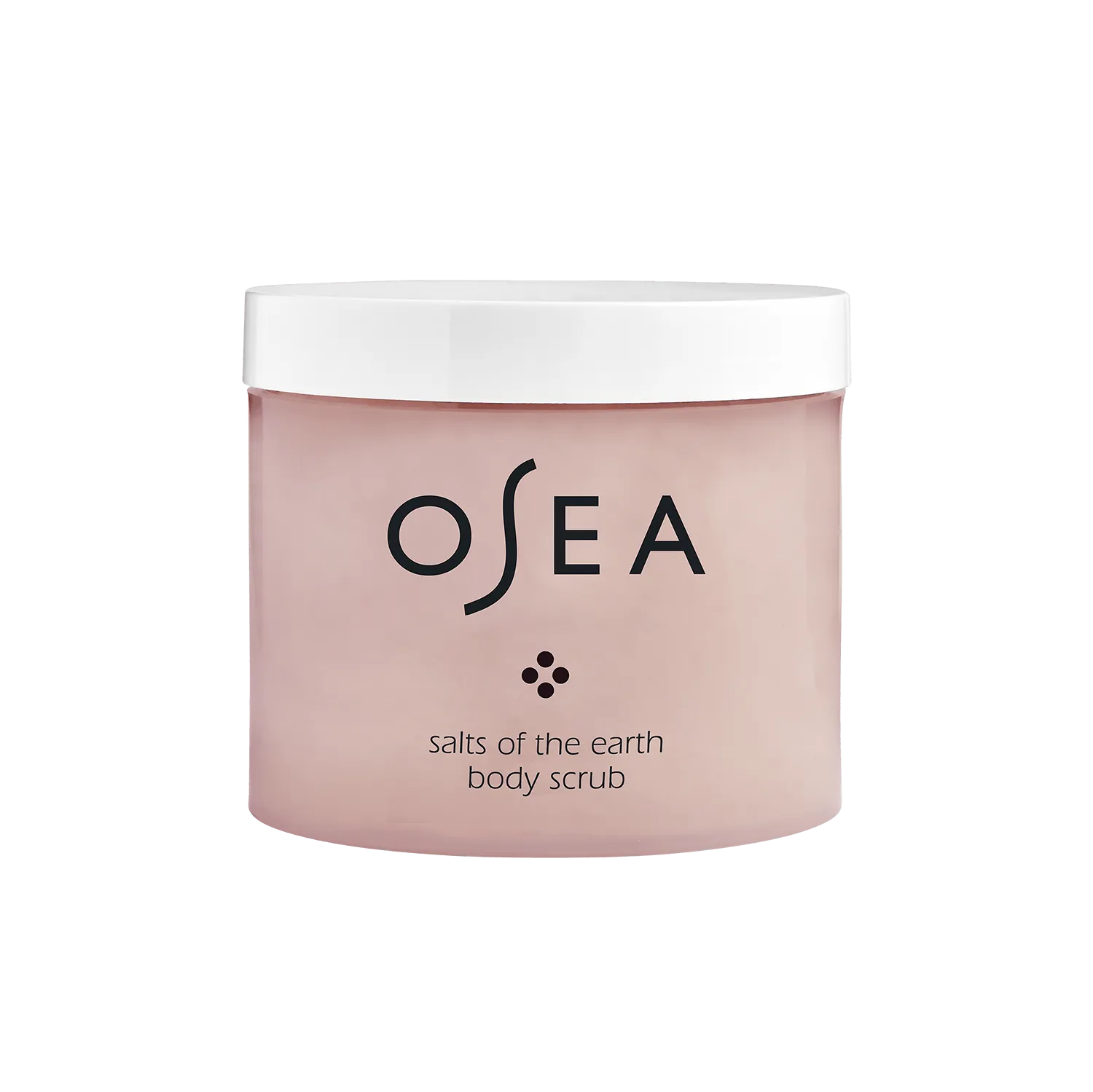 Salts of the Earth Body Scrub